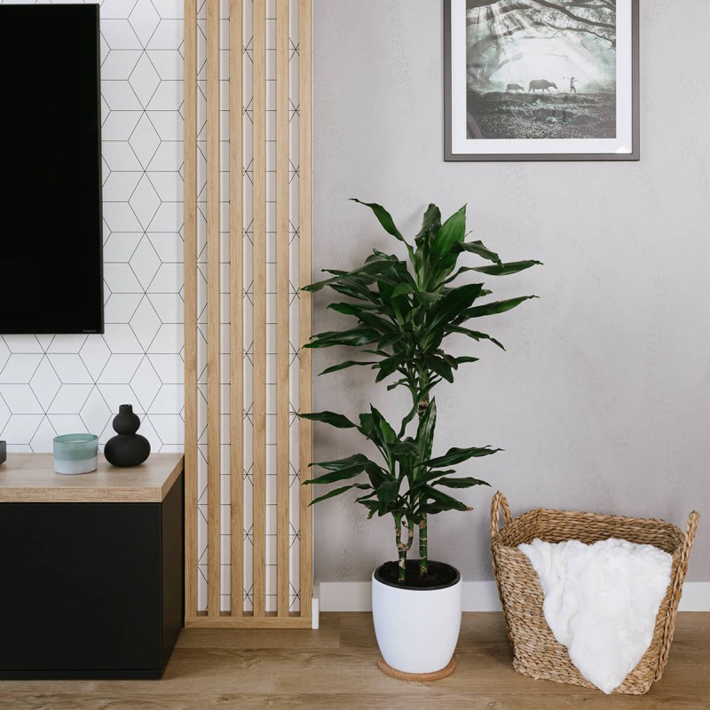 Wall laths - oak sonoma [30x60]